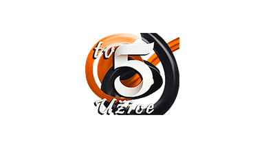 Televizija 5
